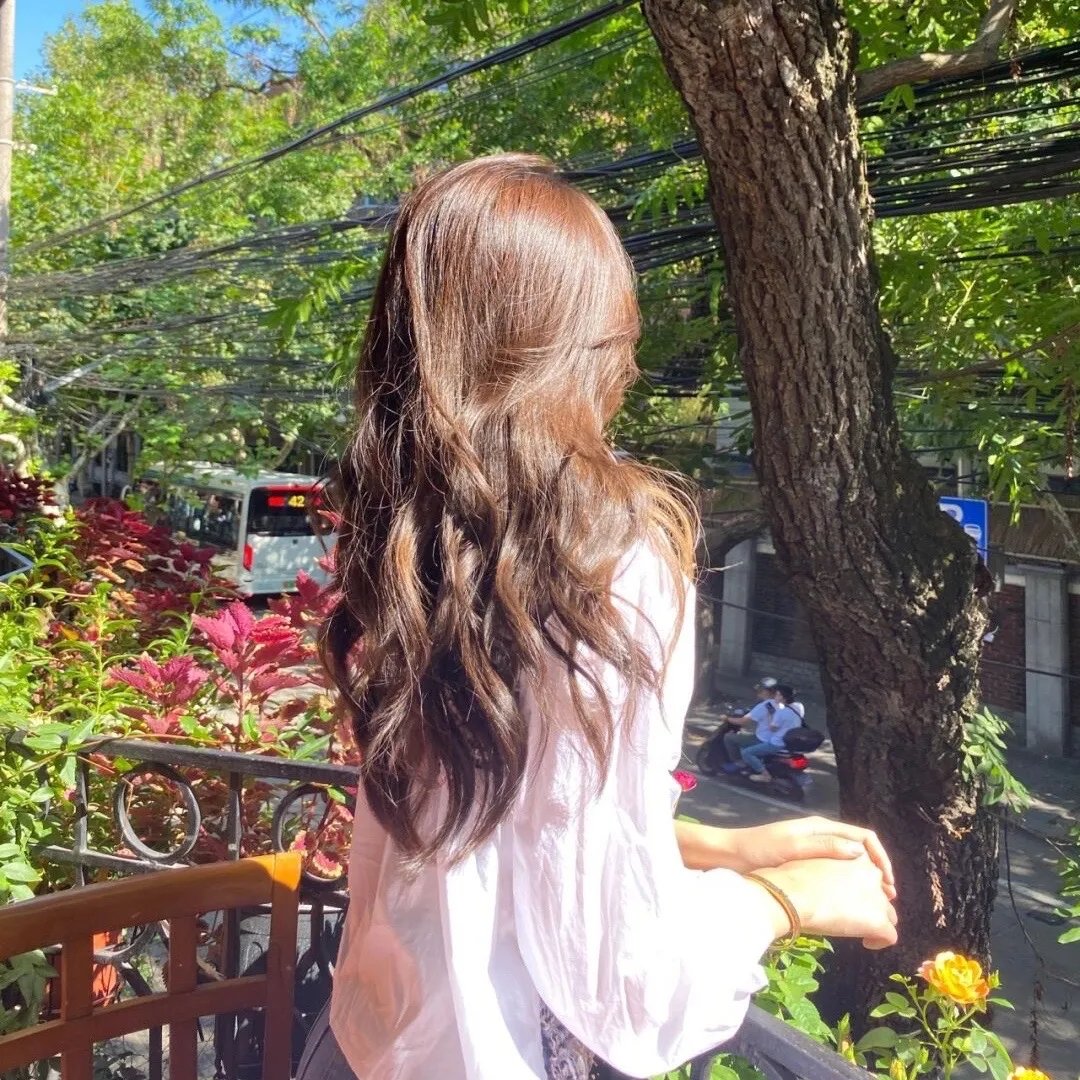艾蒙的圣诞节倒数计时
